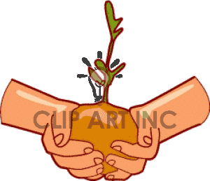 Hands Holding A Tree Sprout