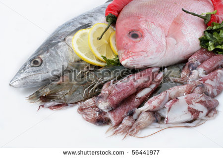 Red Snapper Clipart