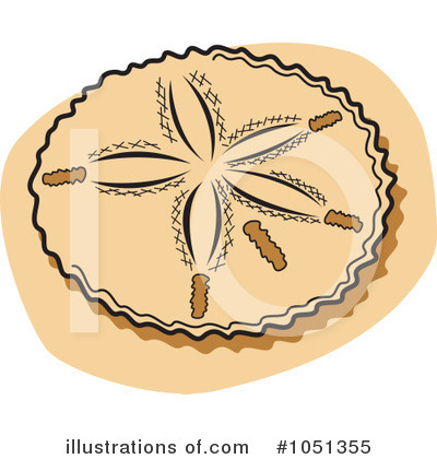 Sand Dollar Clipart Image Search Results