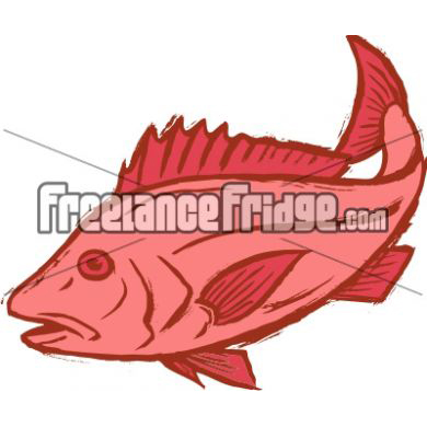 Sketchy Stylized Fish Red Snapper Vector Clipart Stock Artwork