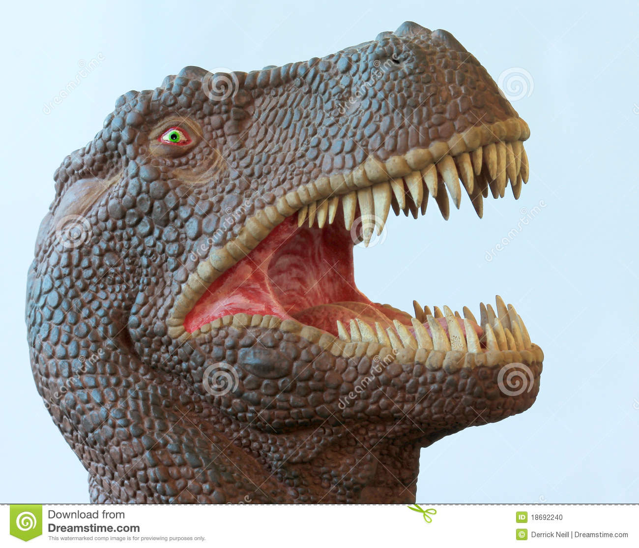Tyrannosaurus Rex Dinosaur With Gaping Jaws Stock Photo   Image    