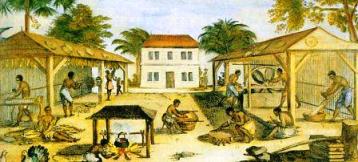 African Slaves Working On A Southern Tobacco Plantation In 1670 During