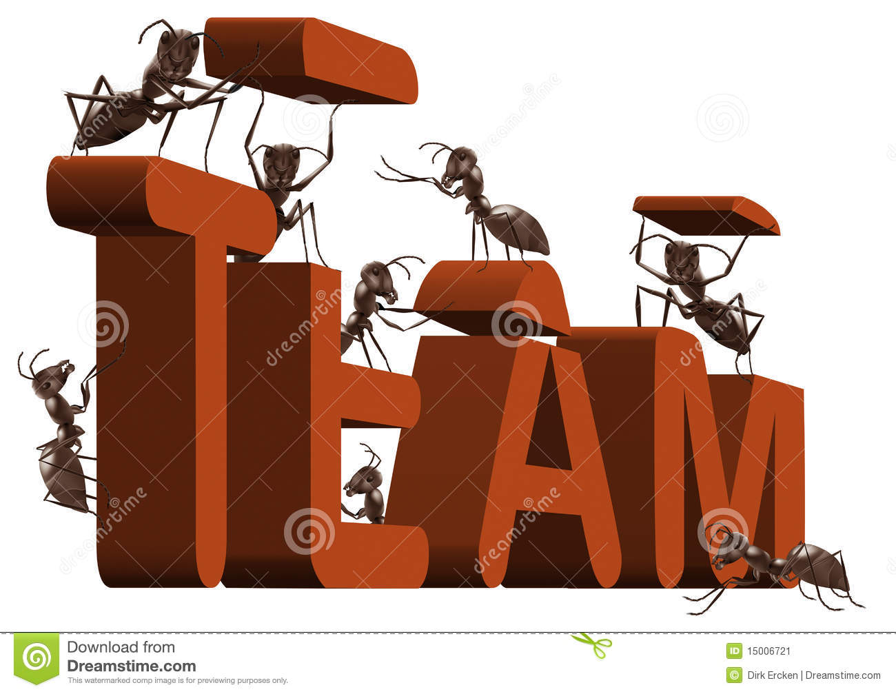 Ant Teamwork Team Building Or Work Cooperation Stock Image   Image