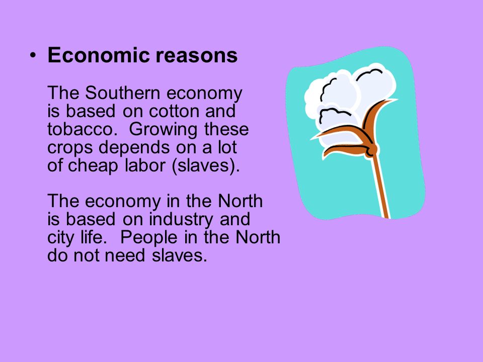Economic Reasons The Southern Economy Is Based On Cotton And Tobacco