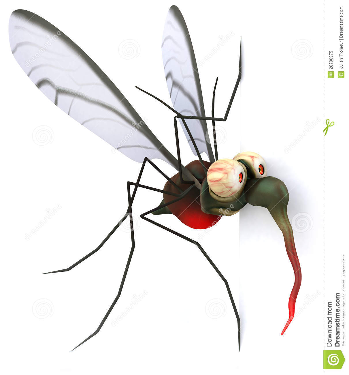 Mosquito Royalty Free Stock Photo   Image  28780975