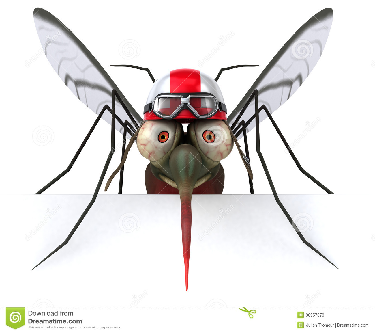 Mosquito Stock Photo   Image  30957070