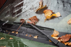 The Leaves On A Windshield Stock Photography