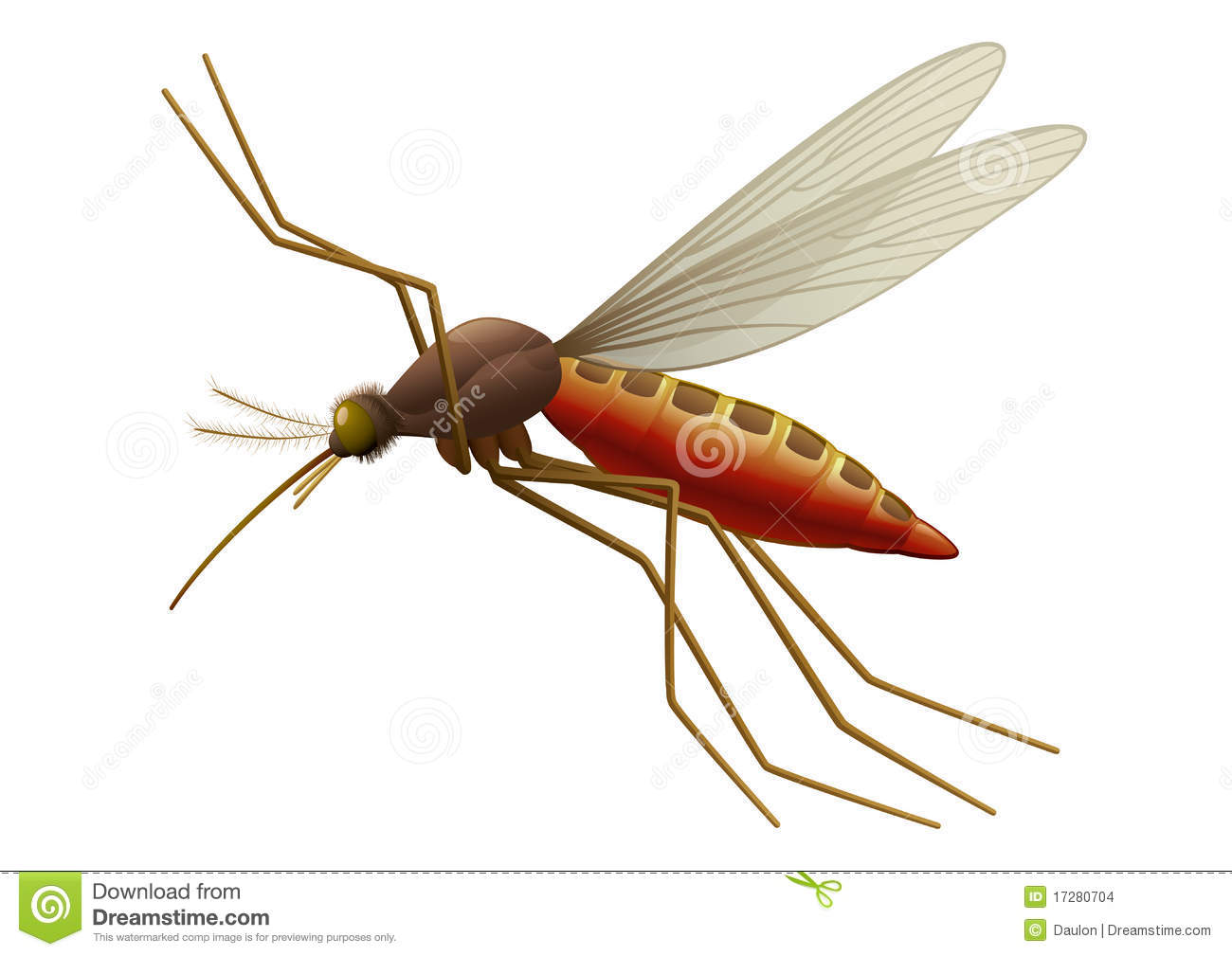 Vector Illustration Of Flying Mosquito Blood Sucking Insect Full
