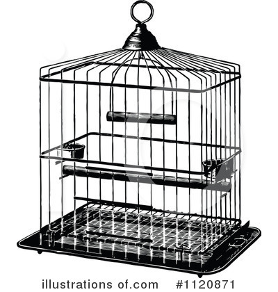 Bird Cage Clipart Black And White   Pet