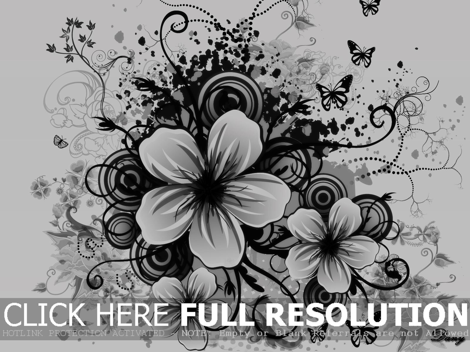Black And White Flower Wallpaper Dowload Free Black And White Flower