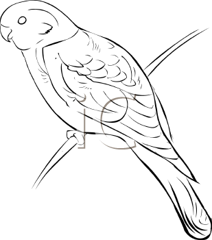 Royalty Free Bird Clip Art Bird Clipart