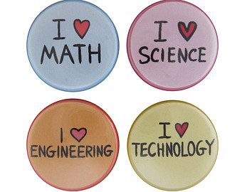 Stem Set Of 4 Magnets   Science Technology Engineering Mathematics