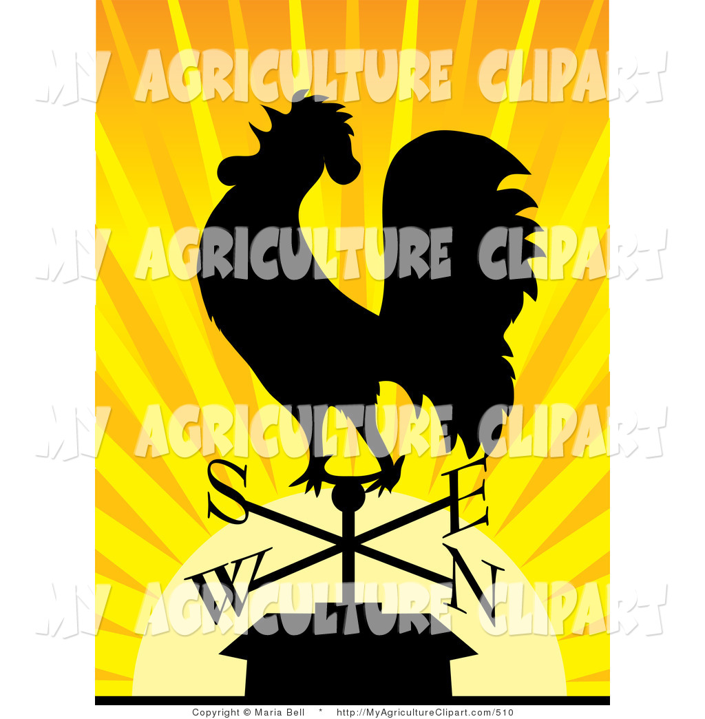 Vector Agriculture Clipart Of A Black Silhouetted Rooster Crowing On A    