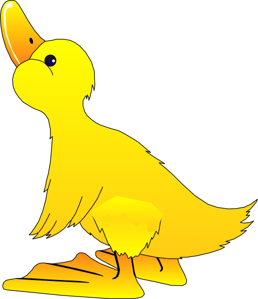 Duck Clipart Pictures