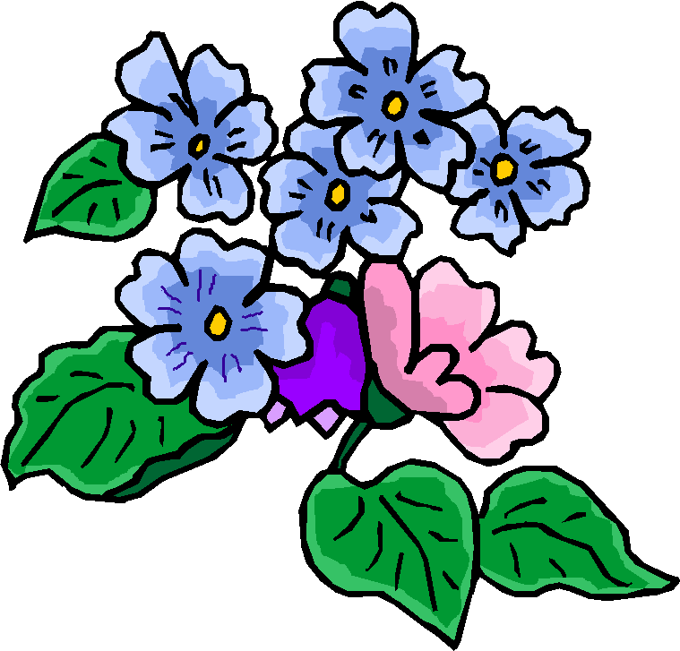 Flowers Bloom Clipart   Free Microsoft Clipart