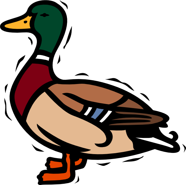 Shaking Duck Clip Art At Clker Com   Vector Clip Art Online Royalty