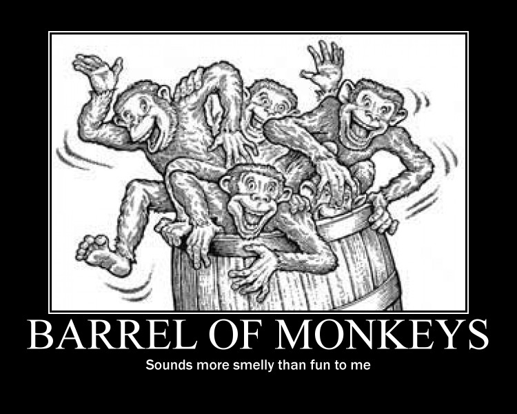 Barrel Of Monkeys By Narma San On Deviantart