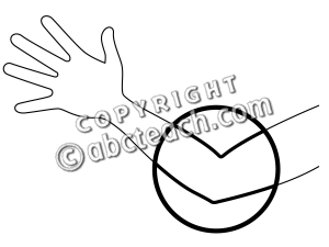 Clip Art  Parts Of The Body  Elbow B W Unlabeled   Preview 1