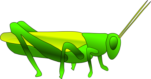 Cricket Insect Clipart   Clipart Best