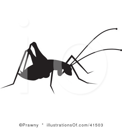 Cricket Insect Silhouette   Clipart Panda   Free Clipart Images