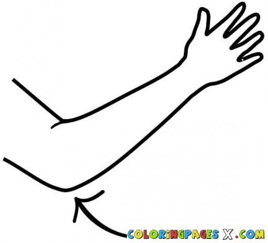 Elbow Colouring Pages