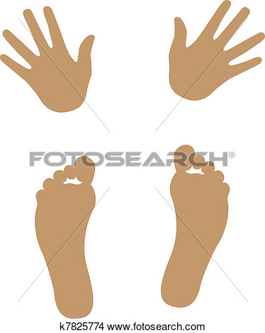 Hand And Foot View Large Clip Art Graphic