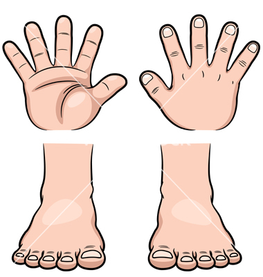 Hands And Feet Vector 1510480 Jpg