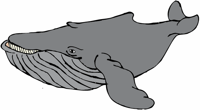 Humpback Whale Clip Art Humpback Whale Gif