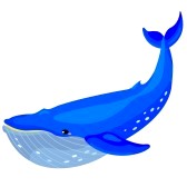 Humpback Whale Clipart 18056709 Whale Jpg