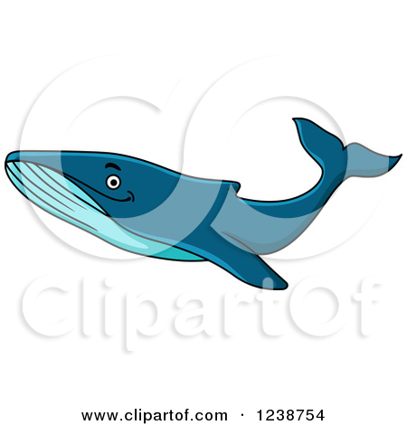 Humpback Whale Clipart Humpback Whale Royalty
