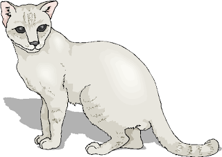 White Cute Free Cat Clipart   Free Microsoft Clipart