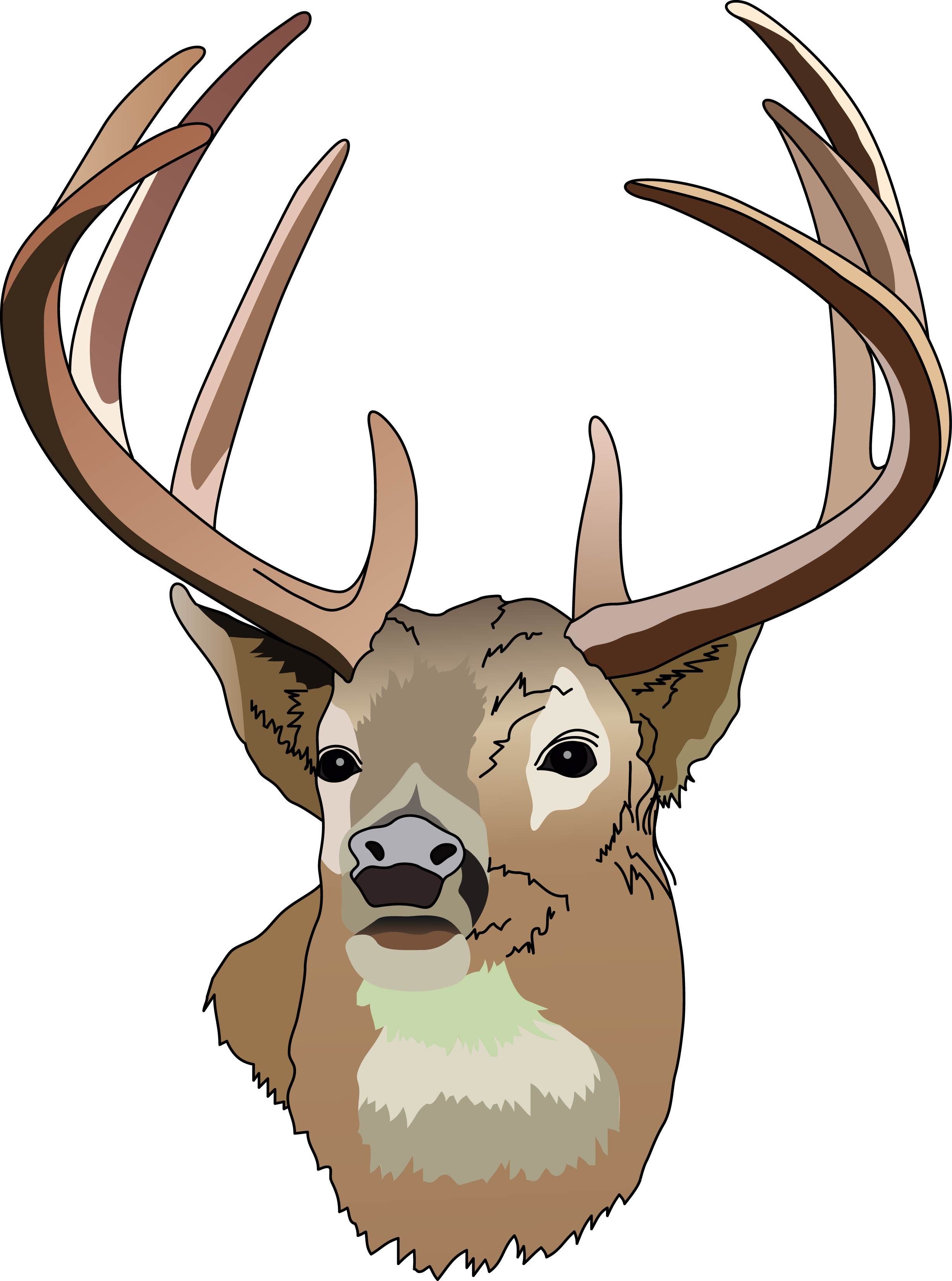 17 Deer Art Pictures Free Cliparts That You Can Download To You