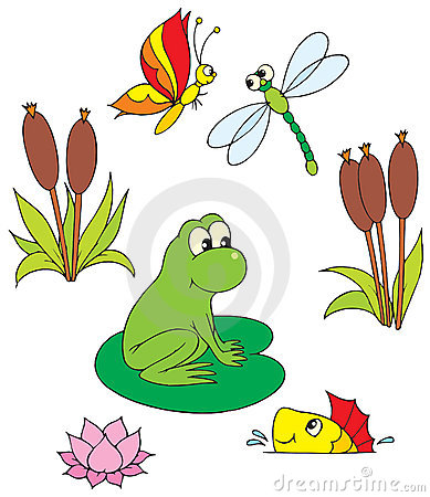     Organisms Inside Your Pond Helps To Balance Ecosystem In Which Clipart