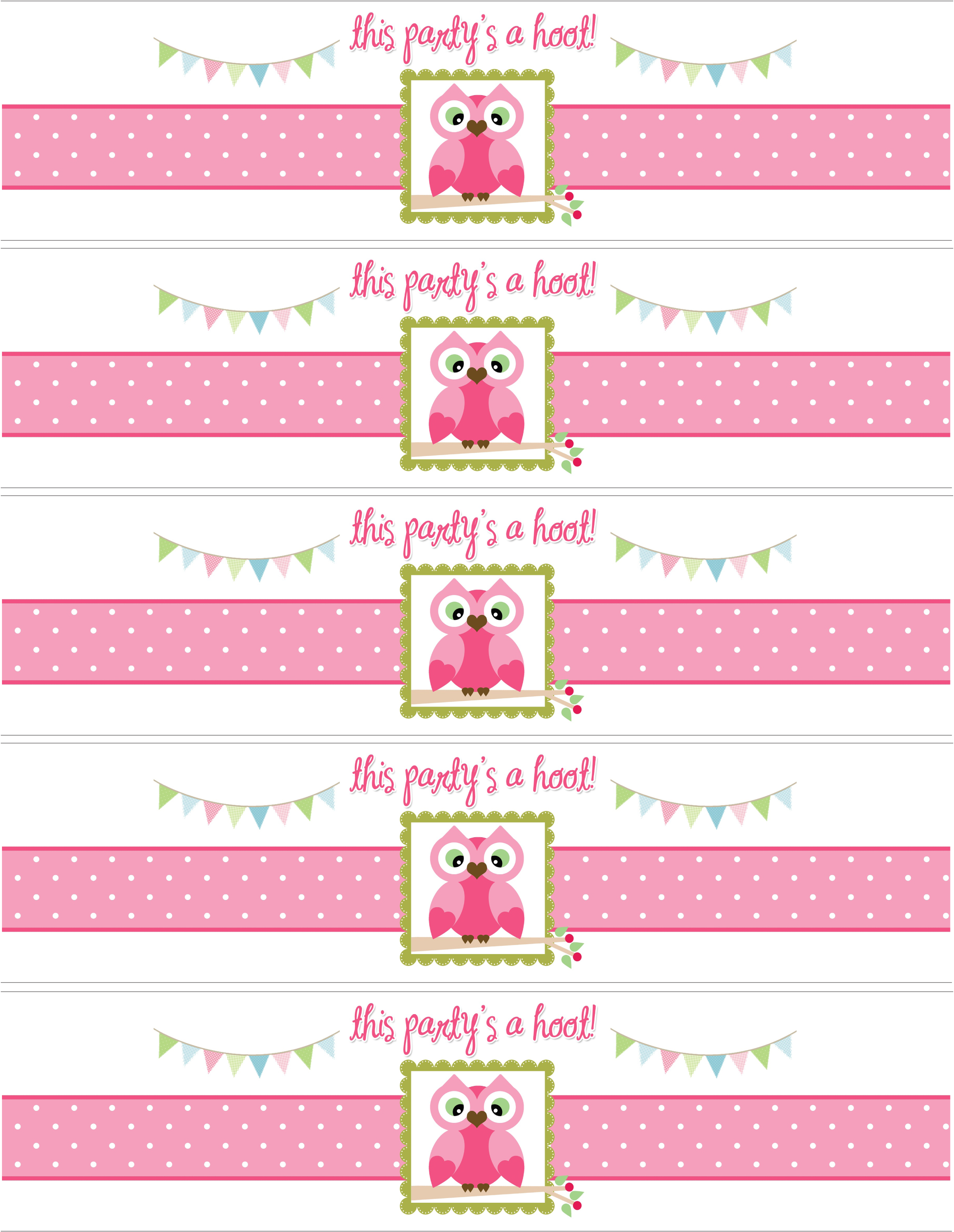Owl Themed Birthday Party With Free Printables   How To Nest For Less