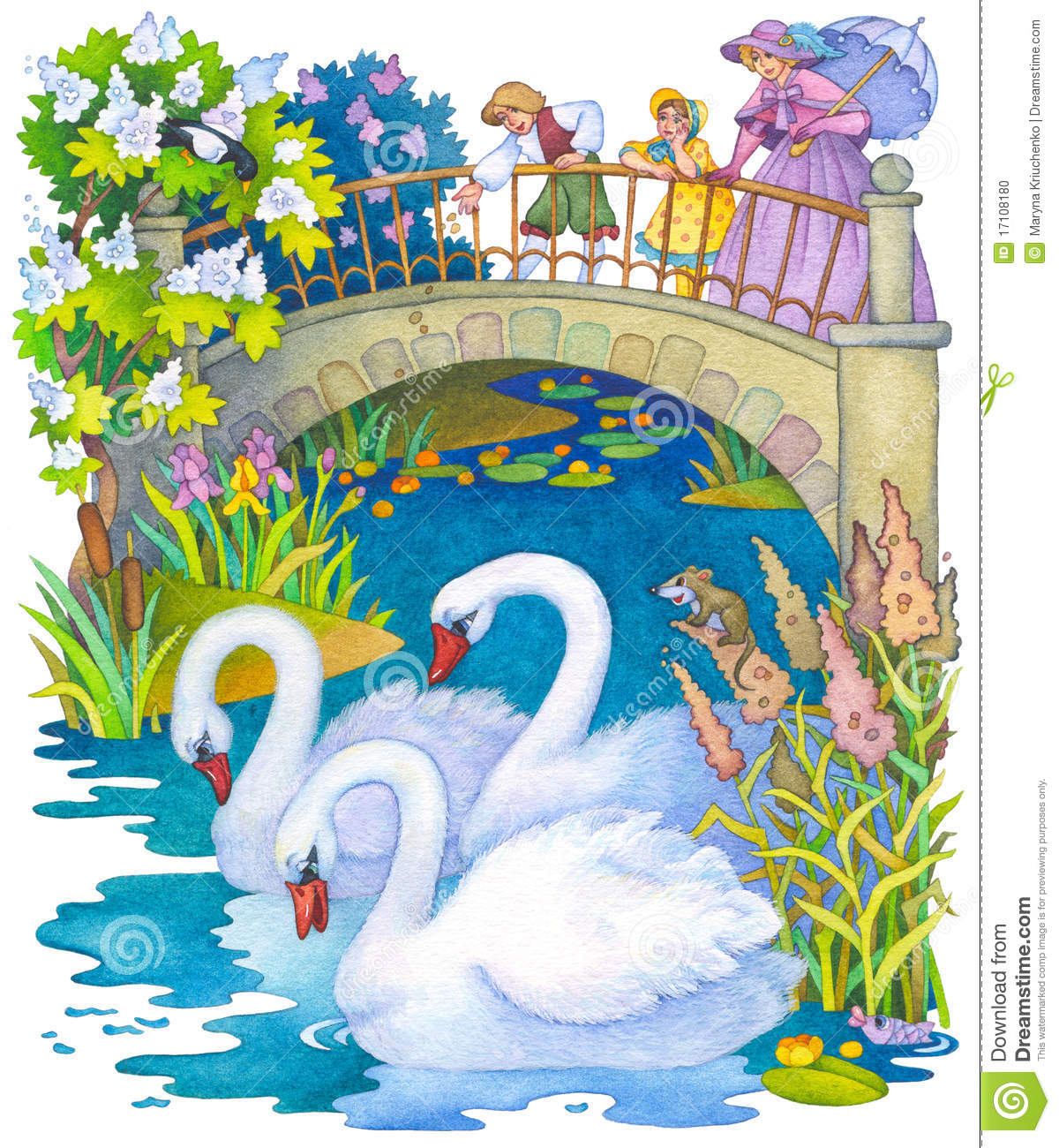 The Park Feeding The Swans On The Pond Stock Photo   Image  17108180