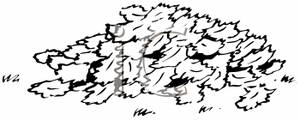 Black And White Pile Of Leaves   Royalty Free Clipart Picture