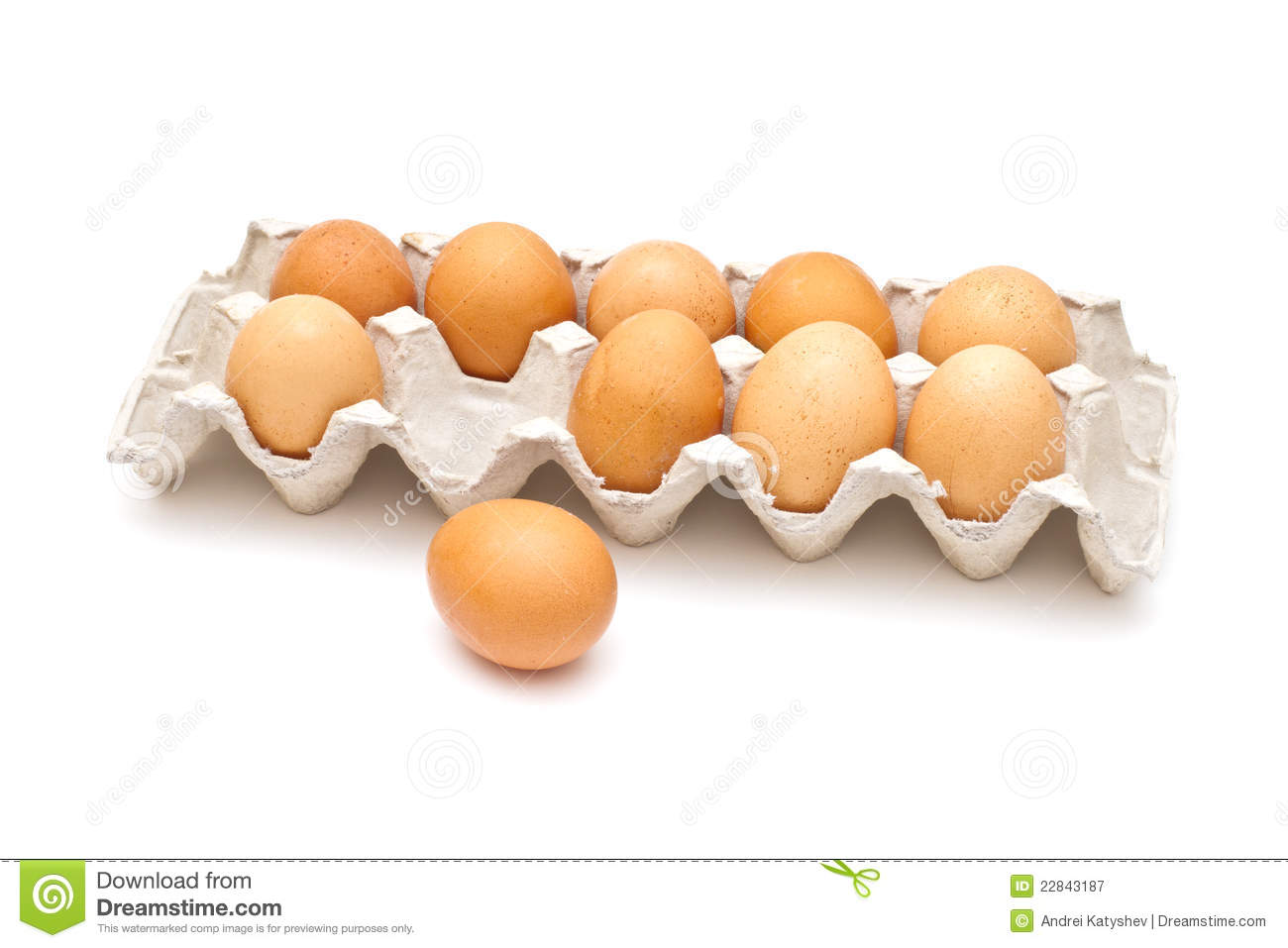Brown Eggs In A Carton Package Royalty Free Stock Photography   Image    