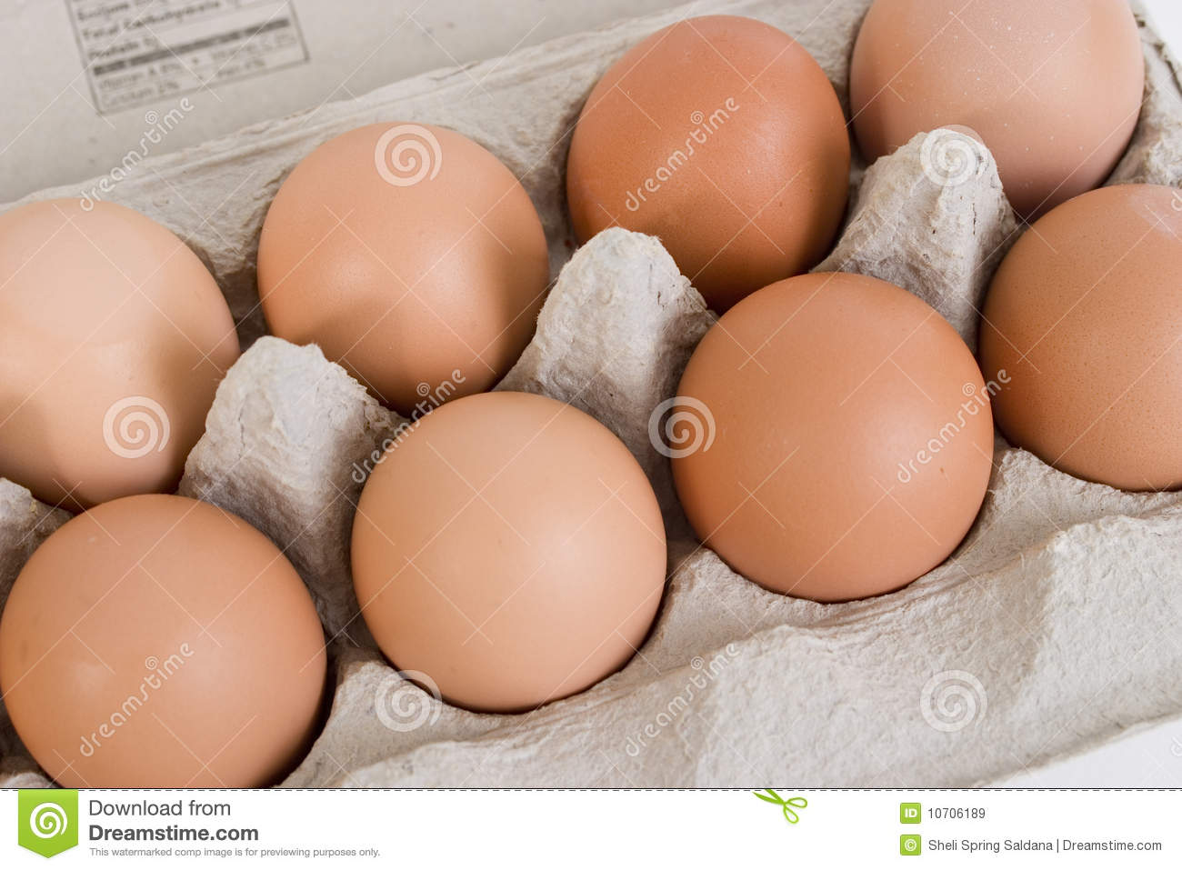 Brown Eggs In Paper Carton Royalty Free Stock Images   Image  10706189
