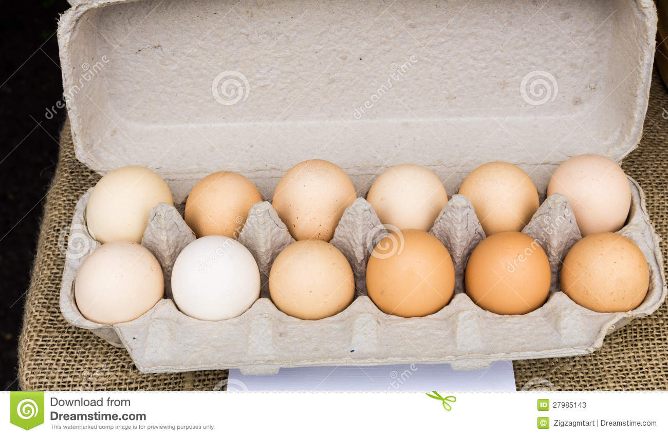 Carton Of Brown Organic Eggs Stock Photos   Image  27985143