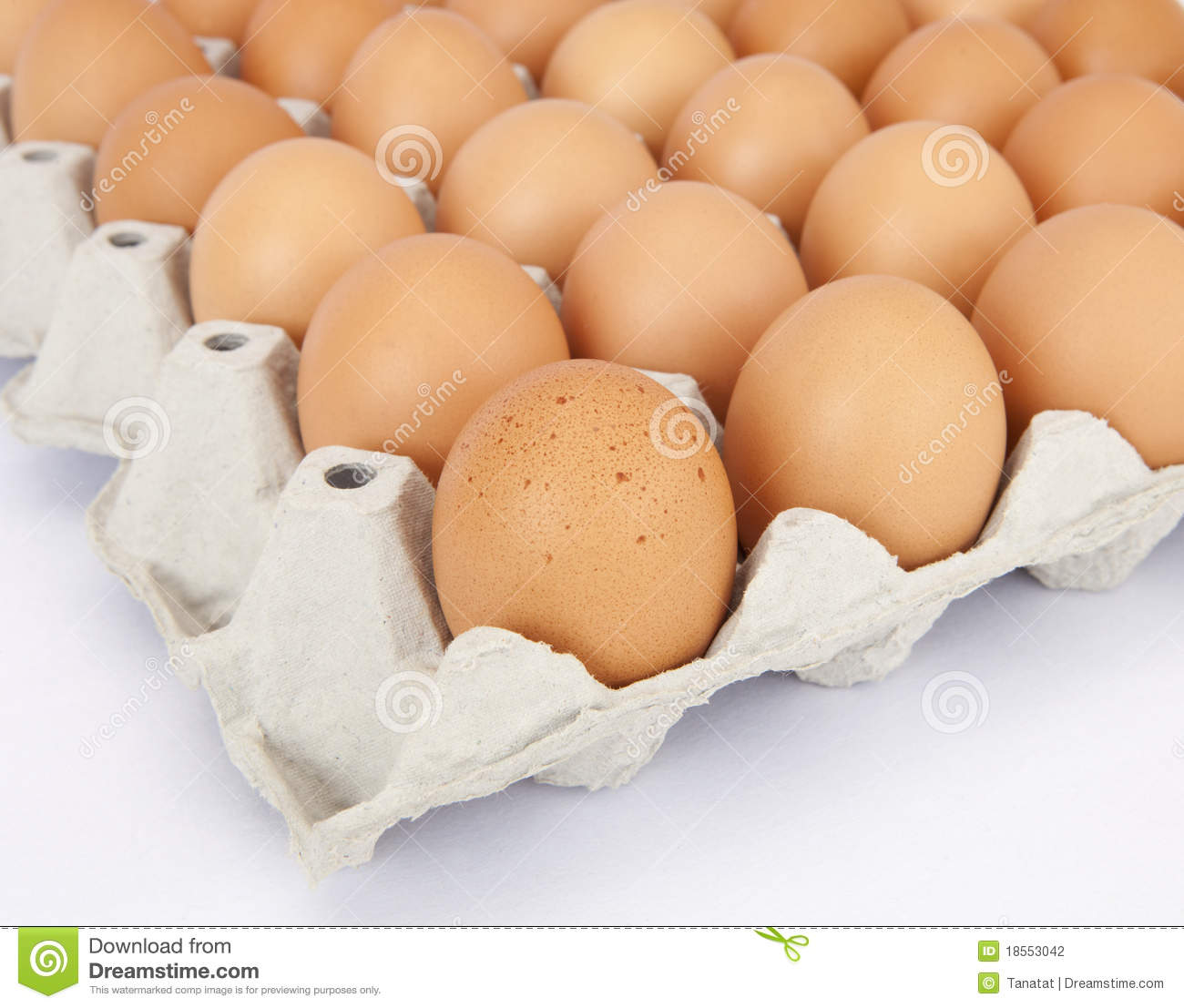 Carton Of Fresh Brown Eggs Stock Photography   Image  18553042