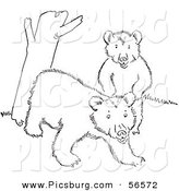 Clip Art Of Two Playful Bear Cubs Beside A Tree Trunk Black And White