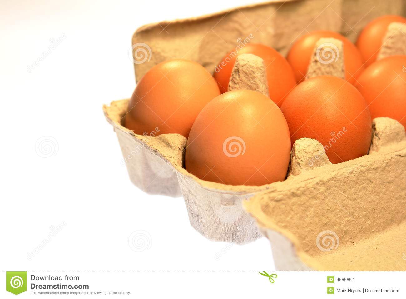 Farm Fresh Brown Eggs Carton Royalty Free Stock Photography   Image