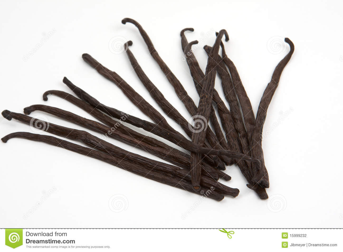 French Vanilla Beans Stock Photography   Image  15999232
