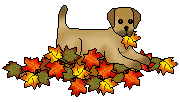 In A Pile Of Leaves Plus An Image Of A Tan Puppy Standing In A Pile    