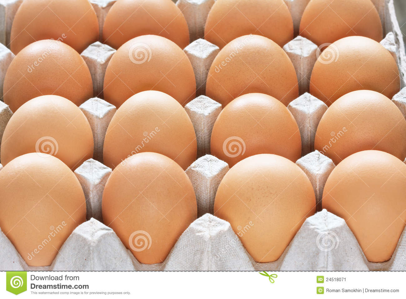 Many Brown Eggs In Carton Tray Stock Image   Image  24518071