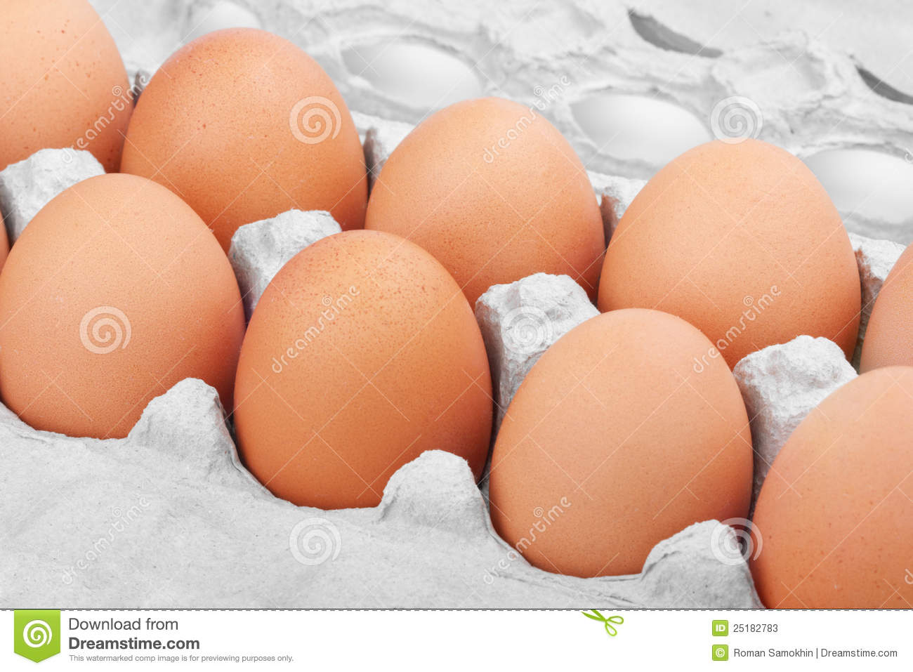 Many Brown Eggs In Carton Tray Stock Photos   Image  25182783