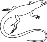 Related For Lizard Clipart Black And White
