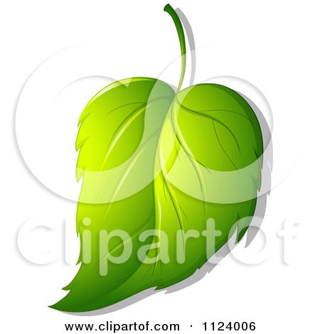 Royalty Free  Rf  Plant Clipart Illustrations Vector Graphics  62