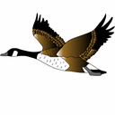 Animated Clip Art Flying Goose