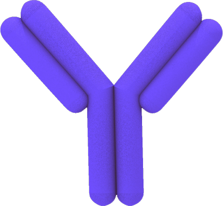 Biogeek Basic Blue Antibody Clip Art   Other Files   Clip Art